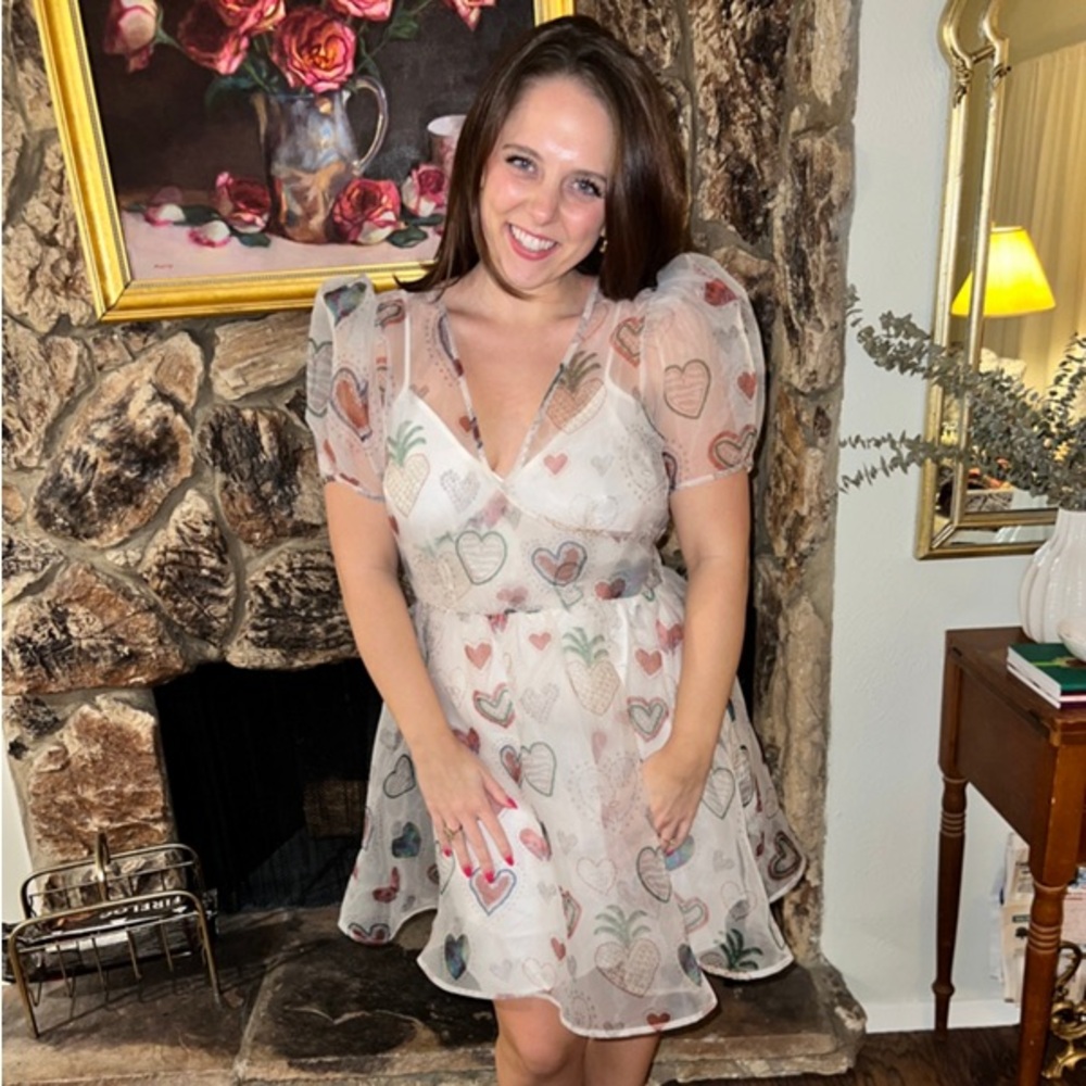 NWT $228 Anthropologie x Farm Rio Semi Sheer Puff-Sleeve Mini Heart Dress S - Picture 4 of 16